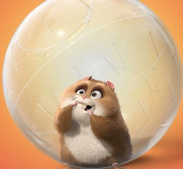 The Class Hamster
